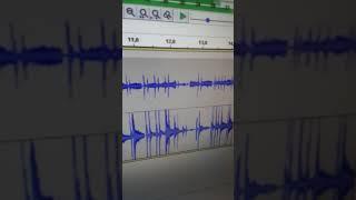 #audacity#audacityaudioediting#beats#songwriter