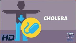 CHOLERA: Everything You Need To Know