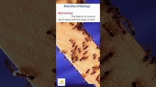 Myrmecology (Branches of Biology)