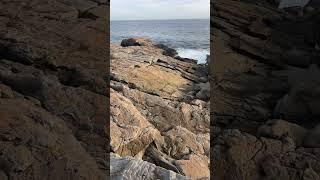 Granite Stones at Peggy’s Cove Halifax Nova Scotia. Explore Nova Scotia.