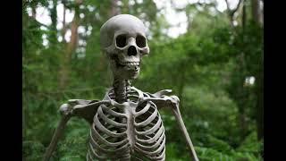 Skeleton Rattling Sound Effect