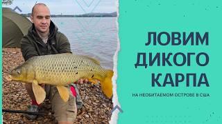 Ловим карпа на необитаемом острове