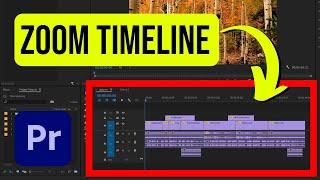 Zoom In & Out Timeline in Premiere Pro (3 methods)