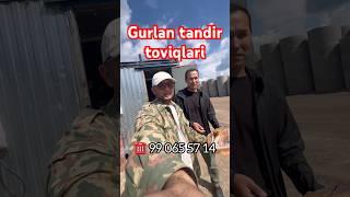 #gurlan