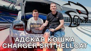 Dodge Charger SRT Hellcat Jailbreak - Адская Кошка!