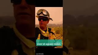 Wildifire in Gorman, California prompts evacuation of 1200 people has burned over 16 square miles