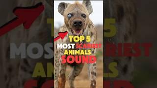 TOP 5 Scariest Animal Sounds in the World