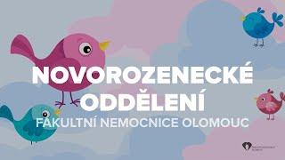 Novorozenecké oddělení FN Olomouc