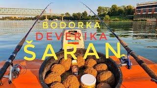 FEEDER I BODORKA NA SECERAC  - DEVERIKA NA CRVA - SARAN NA CUK