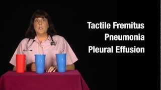 Tactile Fremitus: Cups Demonstration