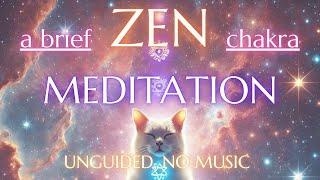 A Brief Zen: Quiet Moments of Insight (Unguided, No Music)#zen #meditation #mindfulness