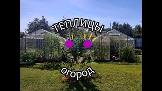 Обзор теплиц/ Что растёт/ Урожай:томаты, огурцы,перцы, баклажаны/ #деревня #огород #village #урожай