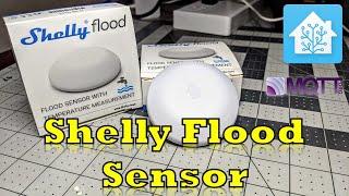 Shelly Flood Sensor - Water Leak Notifications with Home Assistant and MQTT