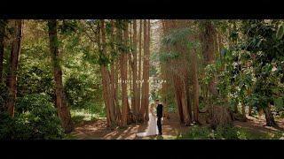 Jesper and Amanda | Norrvikens trädgårdar | Sweden