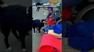 Security Guard Chases Dog—Then Sees the Unbelievable! #Shorts