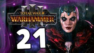 Эльспет фон Дракен Total War Warhammer 3 прохождение за Империю (сюжет) - часть 21