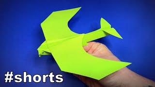 How to Make a Paper Airplane | Origami Airplane | Origami Bird | Easy Origami ART #shorts