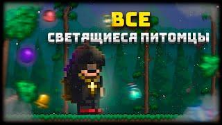 ВСЕ СВЕТЯЩИЕСЯ ПИТОМЦЫ -- КАК И ГДЕ НАЙТИ СВЕТЯЩИХСЯ ПИТОМЦЕВ -- Terraria #terraria #гайд #терагайд