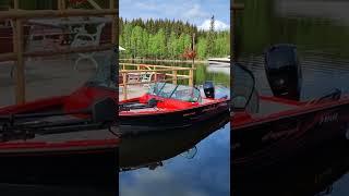 @savid3089  585 FISH NORTH SILVER + MERCURY 150 #Shorts  #Mercury #585 #Fish #vene #boat