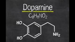 Dopamine sensitivity (Chumpy Reupload)