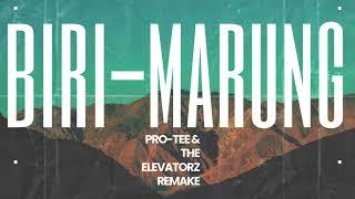 Biri Marung (Cash Kontent)(Pro-Tee & The Elevatorz Remake)