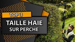 TOP 3 : Meilleur Taille Haie Sur Perche 2024