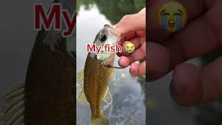 I always get out fished no matter what #shorts #fishing #bassfishing #fishingshorts