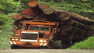 Extreme Dangerous Biggest Wood Logging Truck Operator Skill, Amazing Heavy Equipment Truck Driving