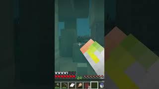 How I got SCAMMED AGAIN in Minecraft Survival!