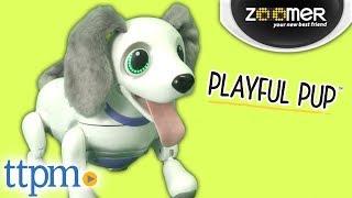 Zoomer Playful Pup from Spin Master