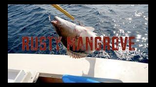 RUSTY MANGROVE - Chumming for BIG Snapper