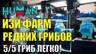 Получи РЕДКИЙ ГРИБ 5/5 - ЛЁГКОЕ получение РЕДКОГО СИНЕГО УНИКАЛЬНОГО гриба в Once Human Фермерство