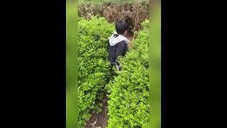 Arjun’s adventures