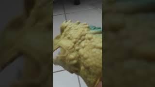 jfhdjcufuufur7ryt