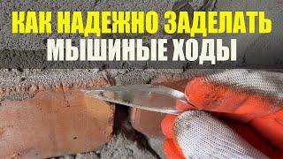 Как Заделать Мышиную Нору Надежно. Как Избавиться От Мышей