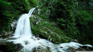 Mountain Stream 4K: Nature's Perfect Water