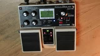 Boss DD-20 Giga Delay. Super useful settings!