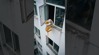 baby was blown down by the wind. The dog noticed and caught the baby. Positive energ