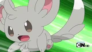 Minccino uses Thunder Bolt on the Trees! Pokémon Black & White