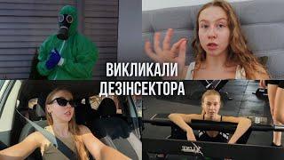 Навіщо дезінсектор??🪳 Що у мене нового? Адаптуємось під відключення