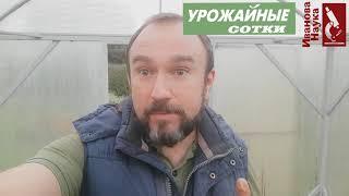 Влагозарядный полив теплицы: ЗА и ПРОТИВ. Когда это нужно, а когда стоит и воздержаться.