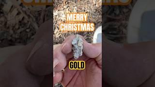 GOLD for Christmas #thecoffeebushkid #metaldetecting