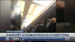 Самолет авиакомпании SCAT столкнулся со стаей птиц