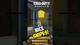 Nice snipes!