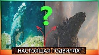 Реальная Годзилла СУЩЕСТВУЕТ в Тихом океане? GODZILLA IN REAL LIFE