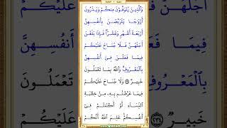 4608th video (vertical) | Qur'an Page 38 | Mishary Al Afasi #quran #shorts #holyquran #recitation