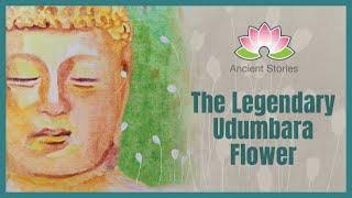 Story in English-The Legendary Udumbara flower