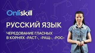 РУССКИЙ ЯЗЫК 6 класс : Чередование гласных в корнях -раст-, -ращ-, -рос-