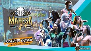 NGOBOR KODOK - All artis Mahesa Music - Live REBAT'S Pekalongan‼️ #mahesamusic #dhehanpro