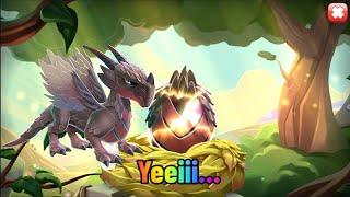 Hatched Gryphon Dragon I Fabled League Chest Reward I Dragon Mania Legends